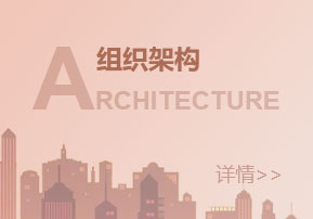 组织架构