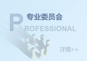 专业委员会